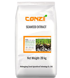 Seaweed Extract 1