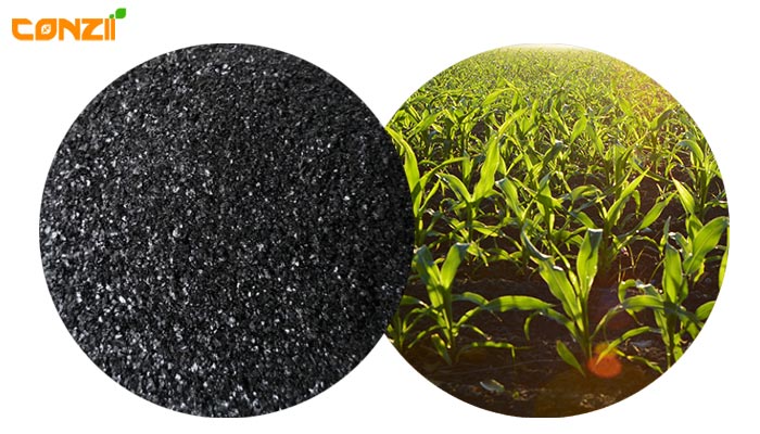 conzii humic acid