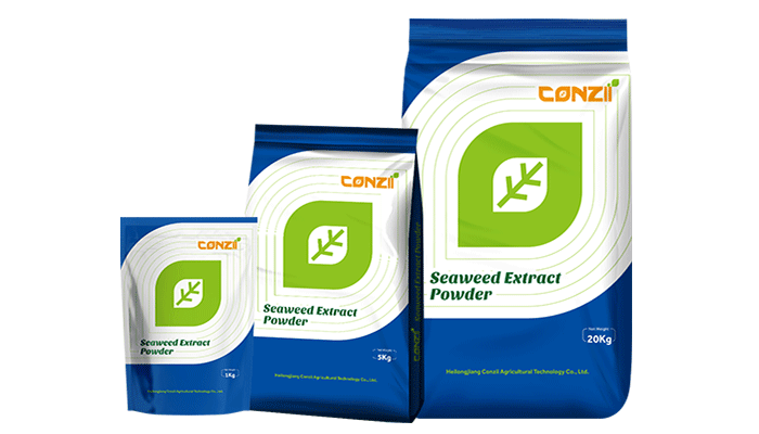 Seaweed-Extract-Powder